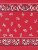 16" Moda Decorative Toweling