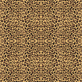 Animal Print HEAT TRANSFER VINYL