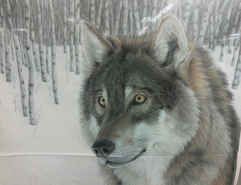 Wolf Panel 44x36